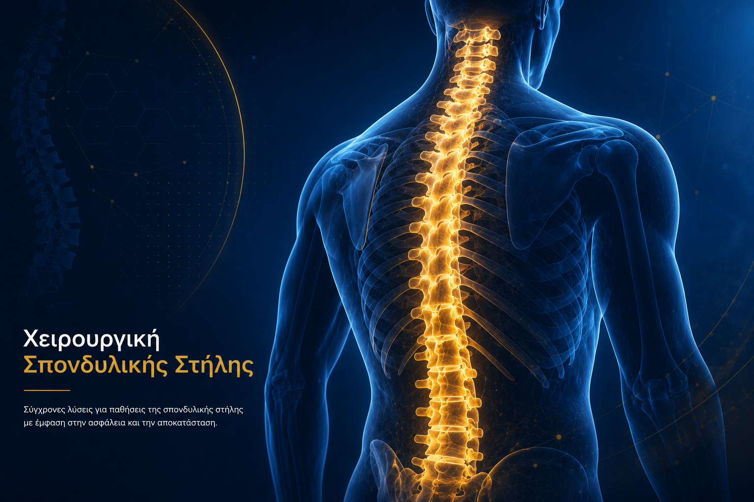 spine photo spine photo